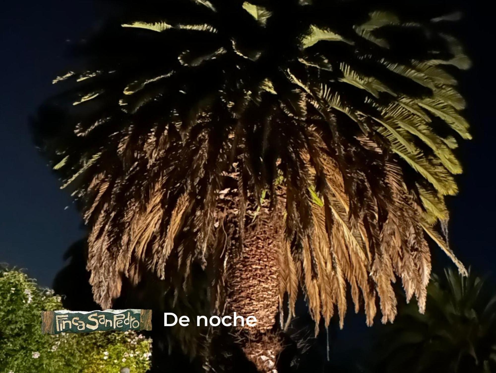 Finca San Pedro -Alojamiento Campestre Y Reserva Natural- Sogamoso Dış mekan fotoğraf