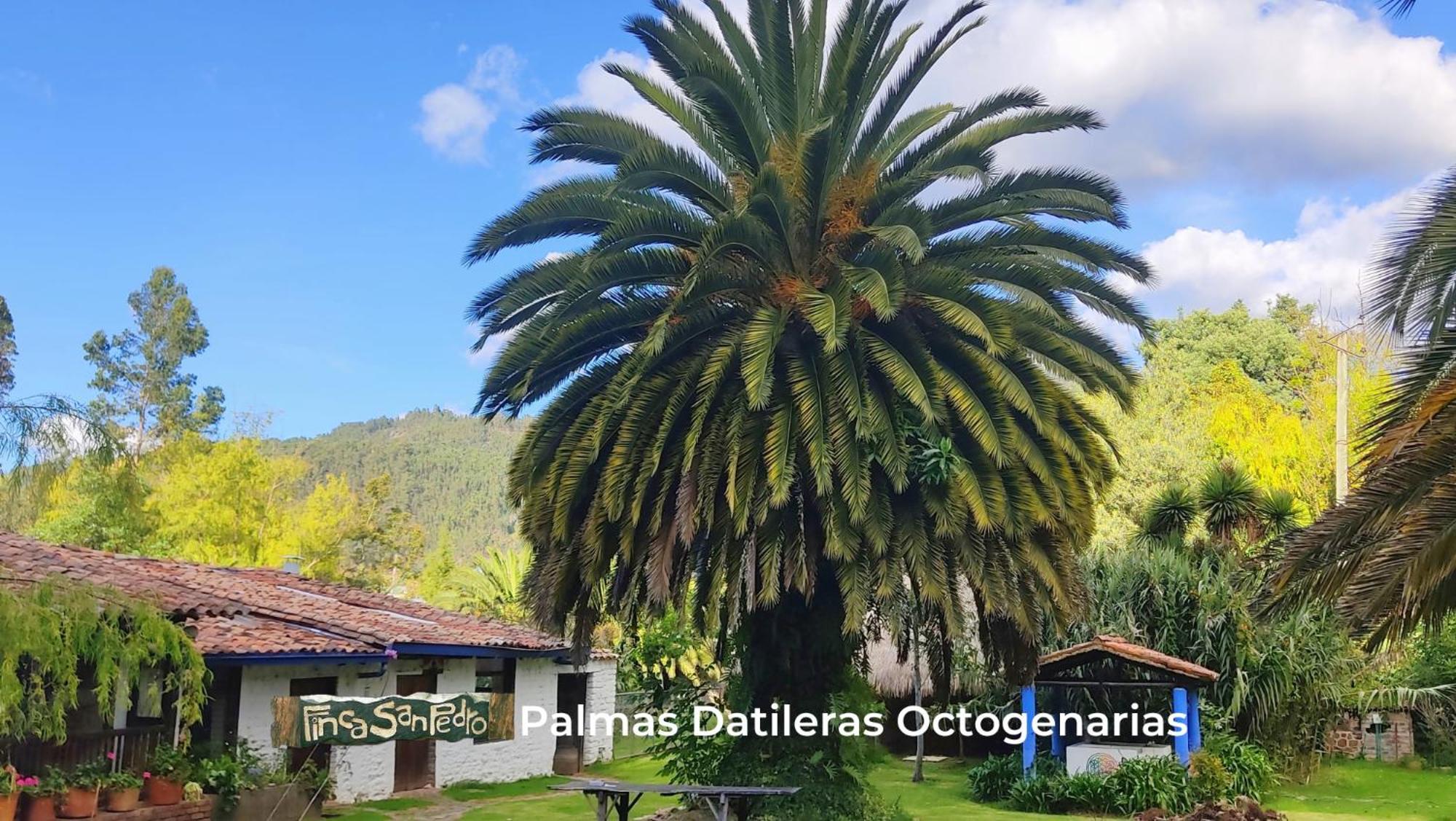 Finca San Pedro -Alojamiento Campestre Y Reserva Natural- Sogamoso Dış mekan fotoğraf