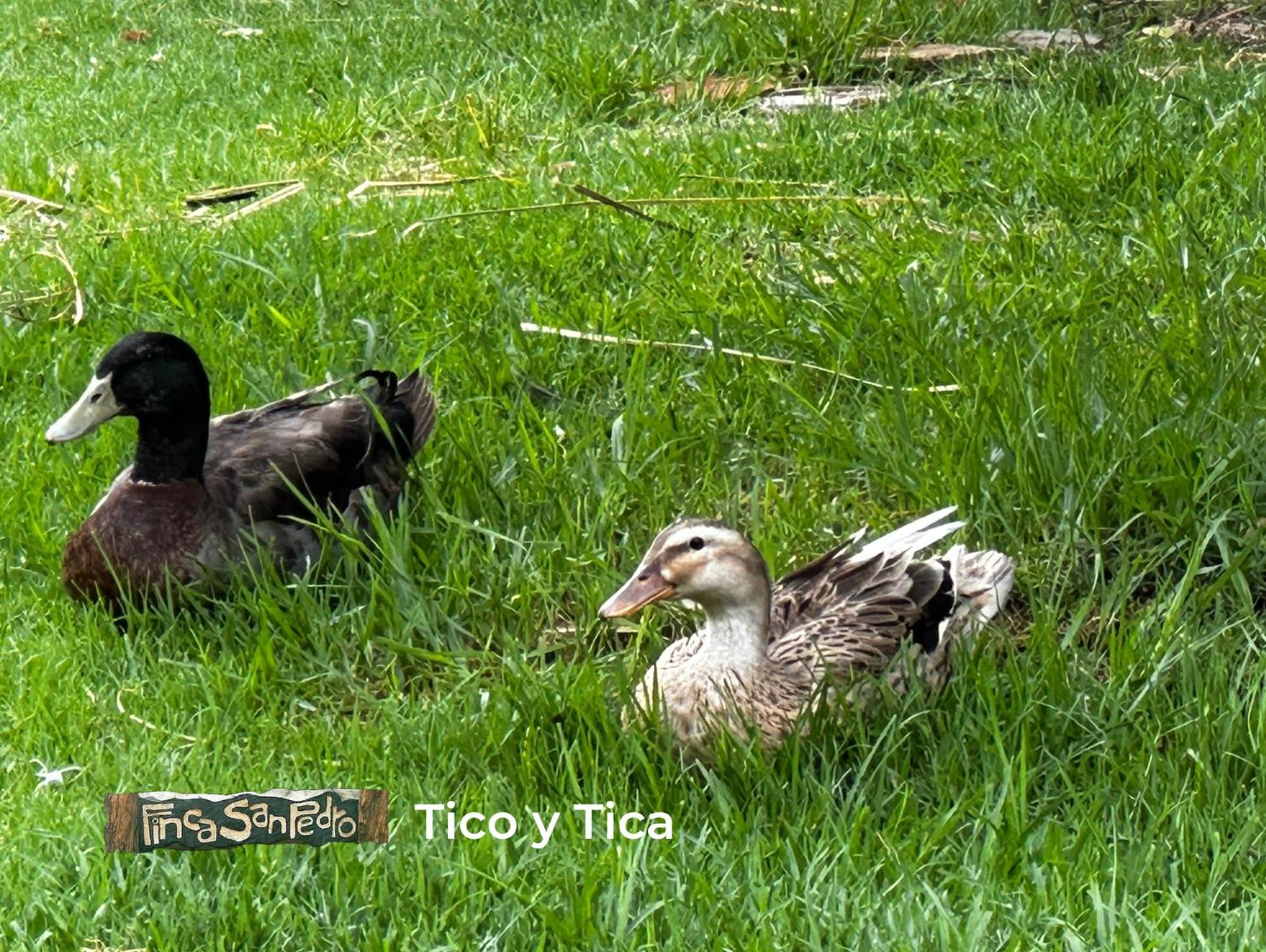 Finca San Pedro -Alojamiento Campestre Y Reserva Natural- Sogamoso Dış mekan fotoğraf