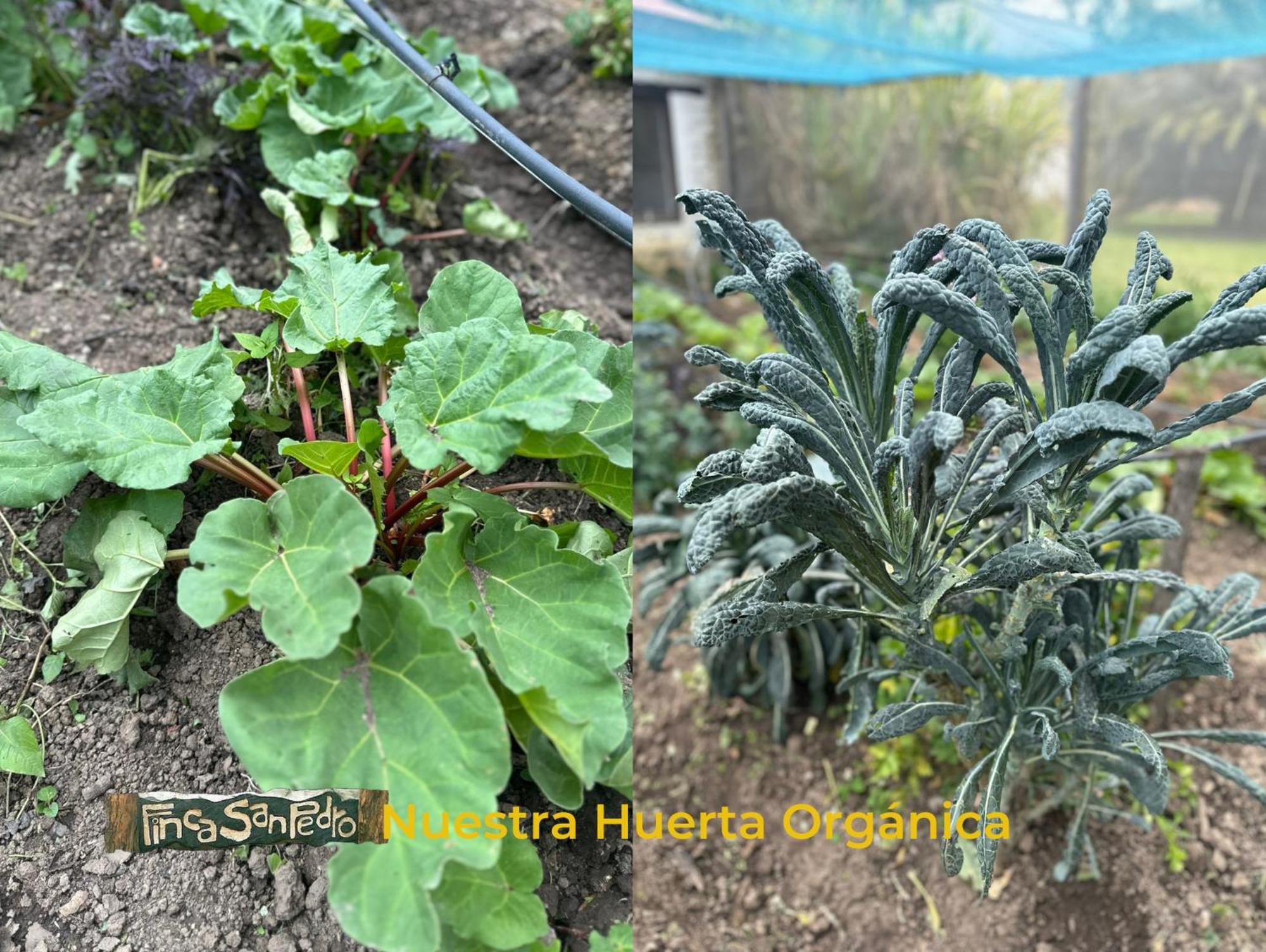 Finca San Pedro -Alojamiento Campestre Y Reserva Natural- Sogamoso Dış mekan fotoğraf