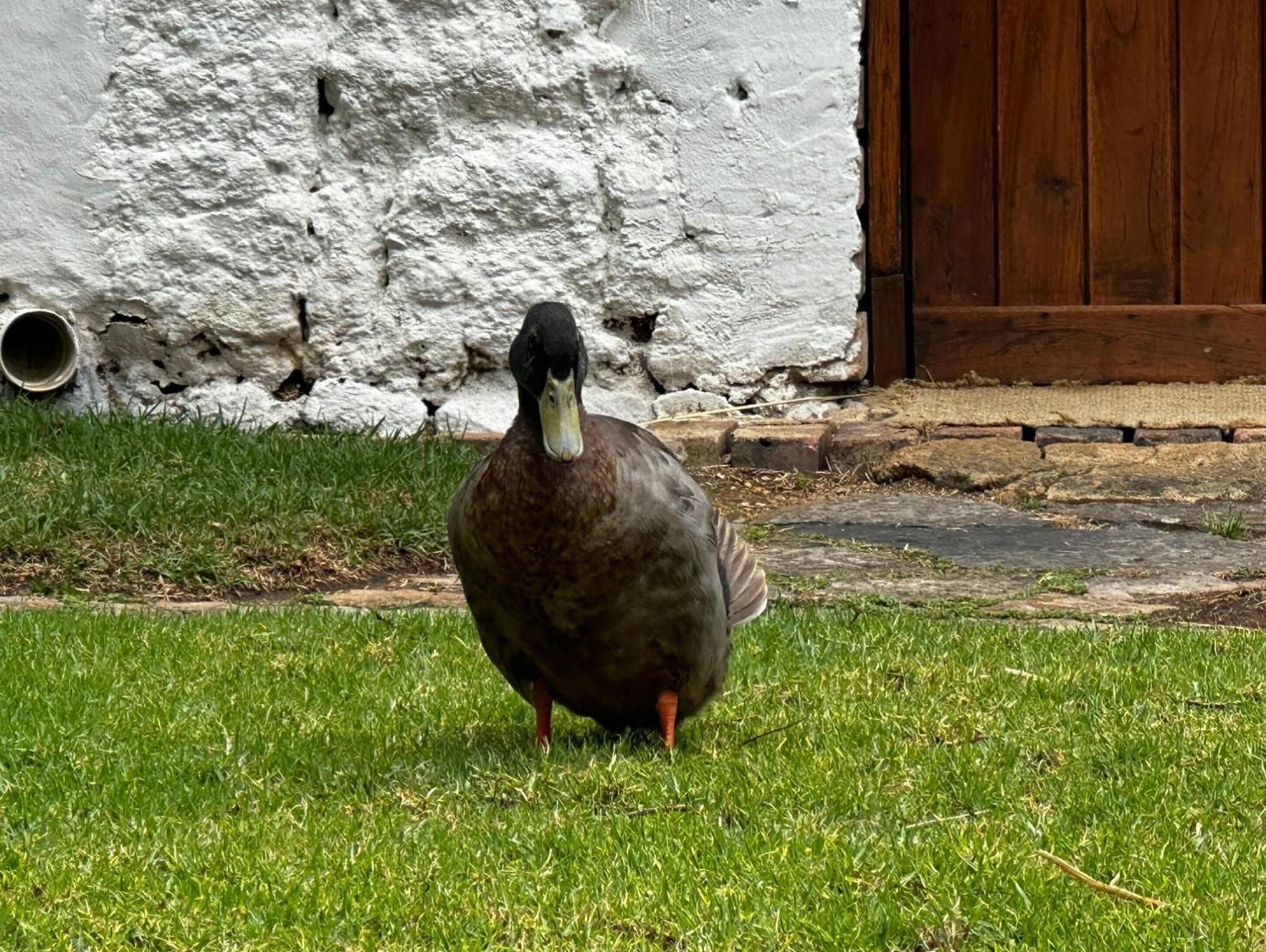 Finca San Pedro -Alojamiento Campestre Y Reserva Natural- Sogamoso Dış mekan fotoğraf