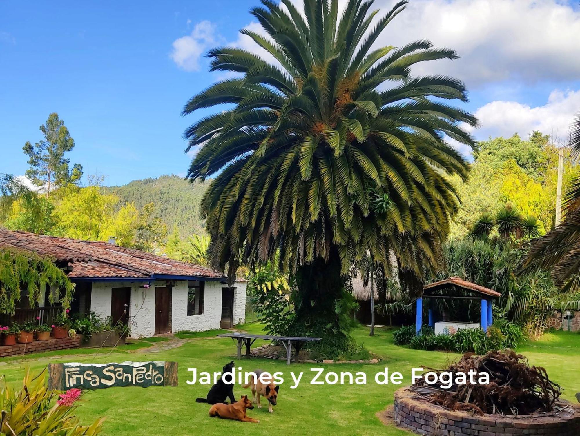 Finca San Pedro -Alojamiento Campestre Y Reserva Natural- Sogamoso Dış mekan fotoğraf