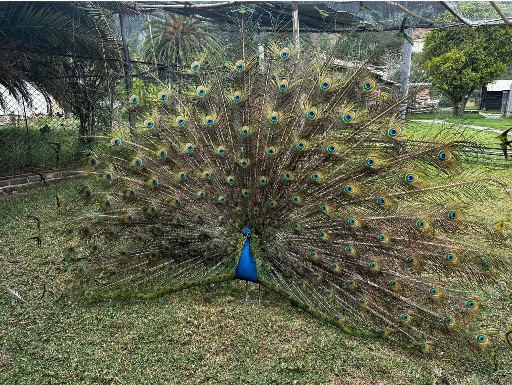 Finca San Pedro -Alojamiento Campestre Y Reserva Natural- Sogamoso Dış mekan fotoğraf
