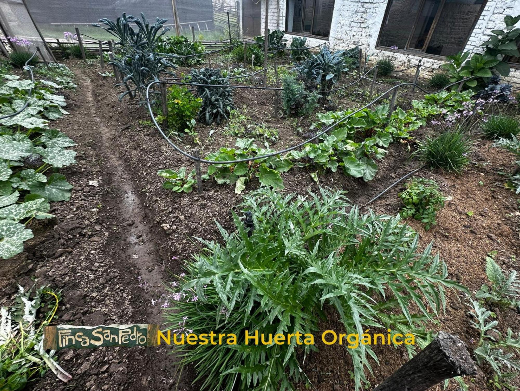 Finca San Pedro -Alojamiento Campestre Y Reserva Natural- Sogamoso Dış mekan fotoğraf